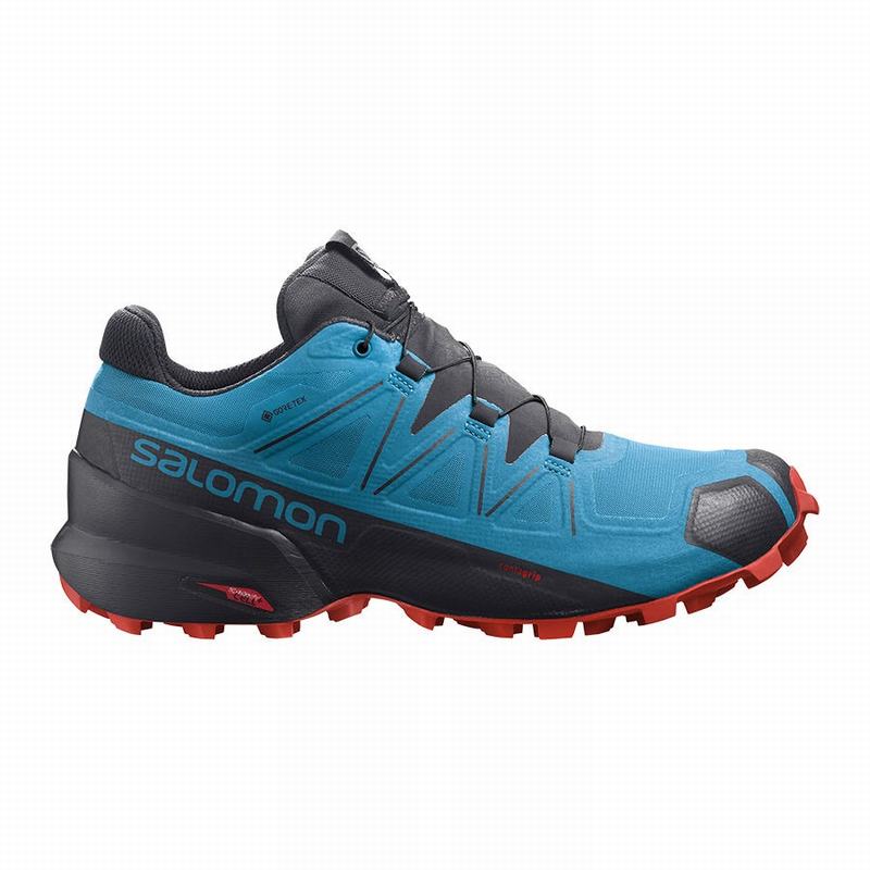 Chaussures De Trail Running Salomon Homme Bleu / Noir - Salomon SPEEDCROSS 5 GORE-TEX - France (7895